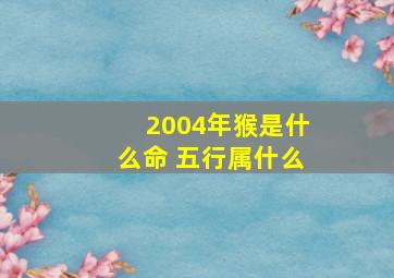 2004年猴是什么命 五行属什么